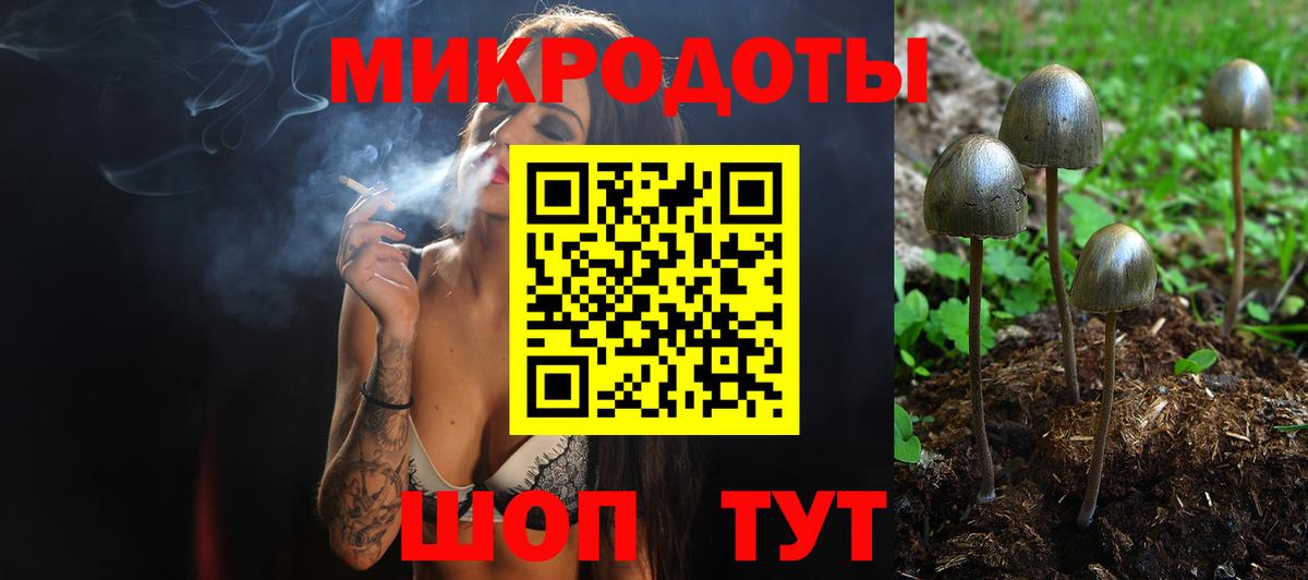 Галлюциногенные грибы Psilocybe  Вход с VPN  Галлюциногенные грибы ЛСД  Приморско-Ахтарск 