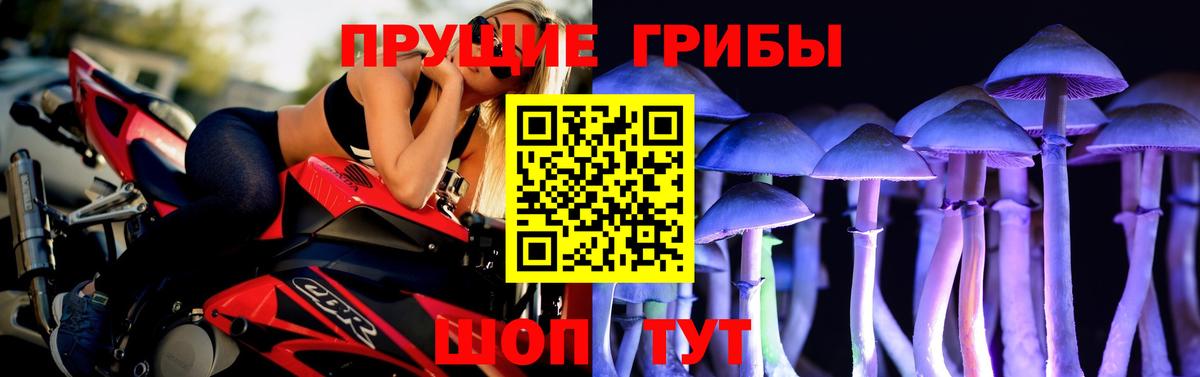 Псилоцибиновые грибы GOLDEN TEACHER Приморско-Ахтарск